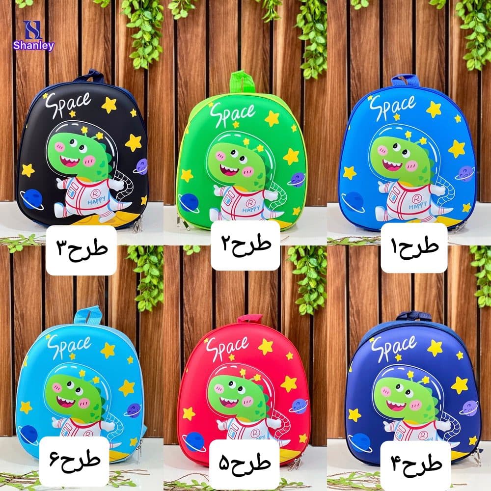 کوله وارداتی فضانورد — تصویر ۱۱