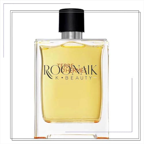 عطر ادکلن هرمس تق هرمس | Hermes Terre d’Hermes 100 ml — تصویر ۲