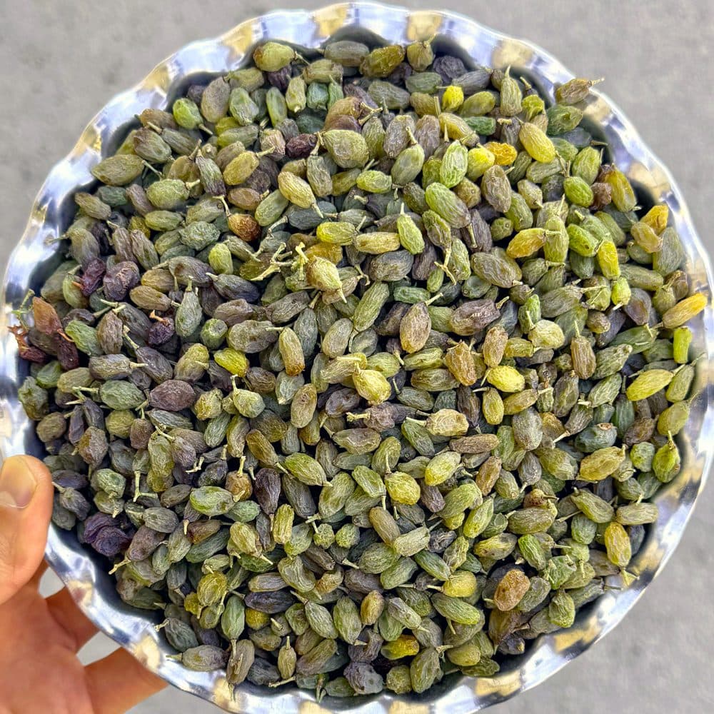 کشمش سایه خشک