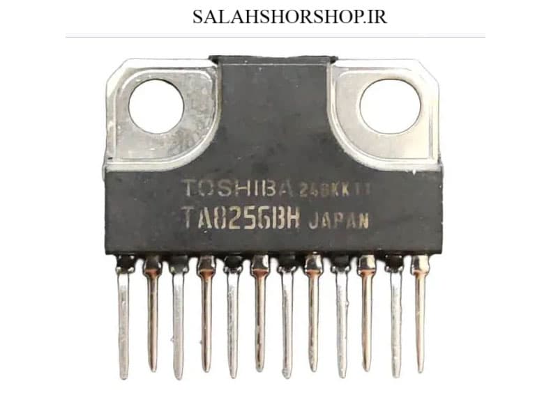 IC TA 8256BH ORG — تصویر ۲
