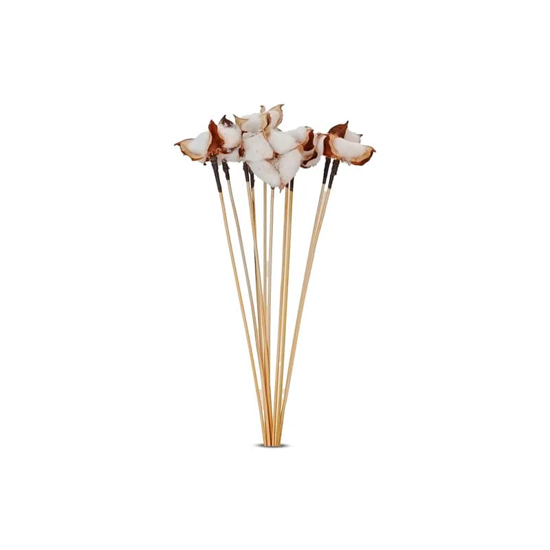 پنبه تک شاخه 10گل