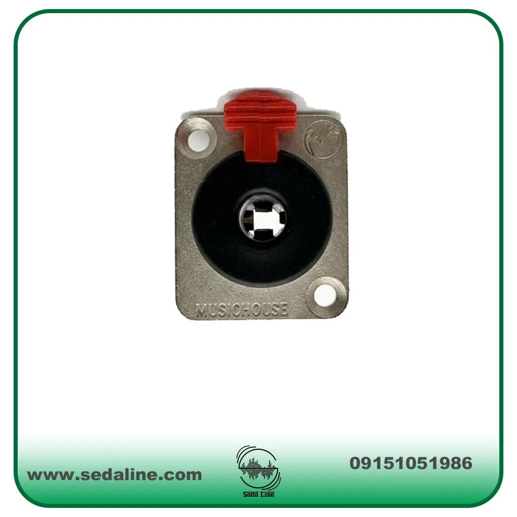 فیش نصبی TS