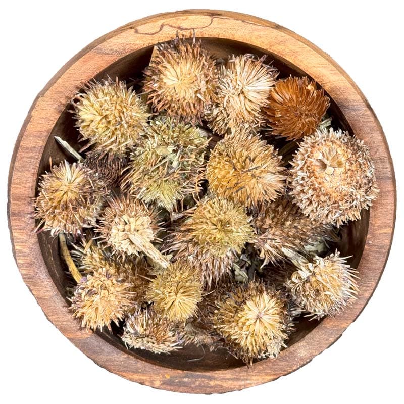 سرخارگل (گل اکیناسه) 50 گرم — تصویر ۳