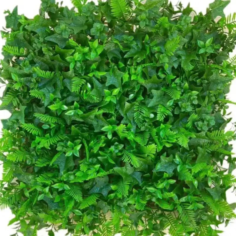 گرین وال سیکاس پاپیتال سایز 50*50 سانتیمتر