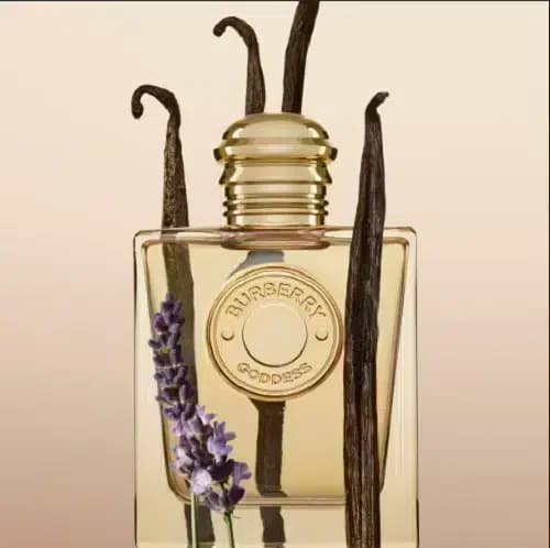 عطر باربری گادس | Burberry Goddess — تصویر ۱۰