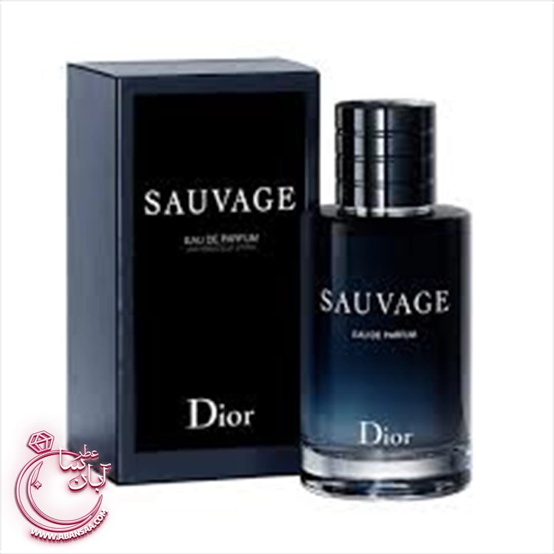 عطر مردانه ساواج دیور | عطر ادکلن دیور ساوج ادو پرفیوم — تصویر ۷