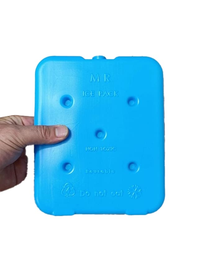 یخ خشک 600 گرمی mr icepack