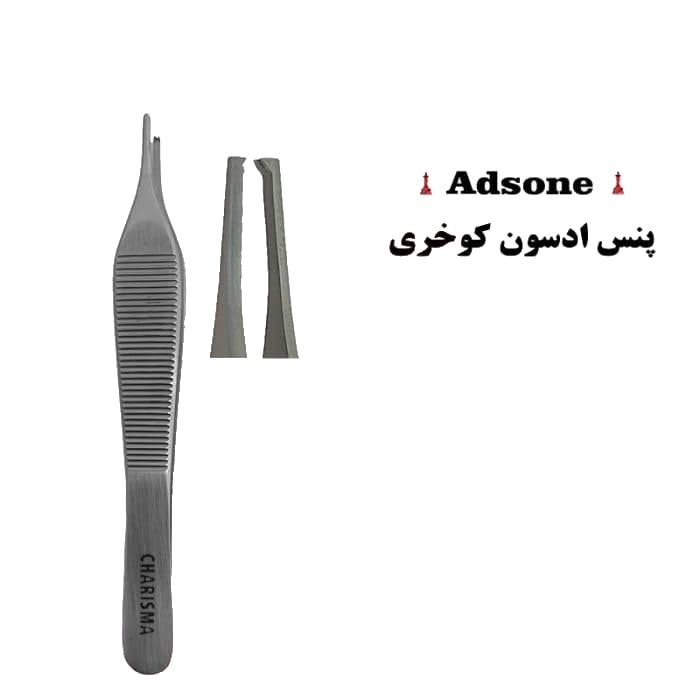 پنس ادسون کوخری باریک کاریزما — تصویر ۳
