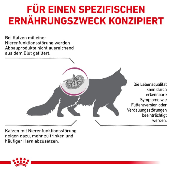 غذای خشک گربه رویال کنین مدل رنال اسپشیال وزن 2 کیلوگرم Royal Canin Renal Special — تصویر ۸