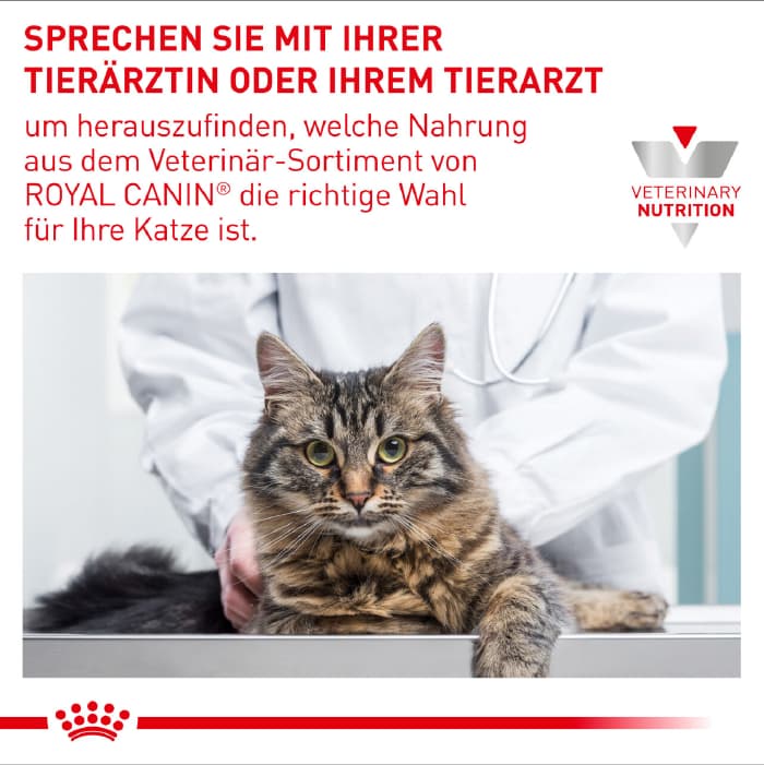 غذای خشک گربه رویال کنین مدل رنال اسپشیال وزن 2 کیلوگرم Royal Canin Renal Special — تصویر ۴