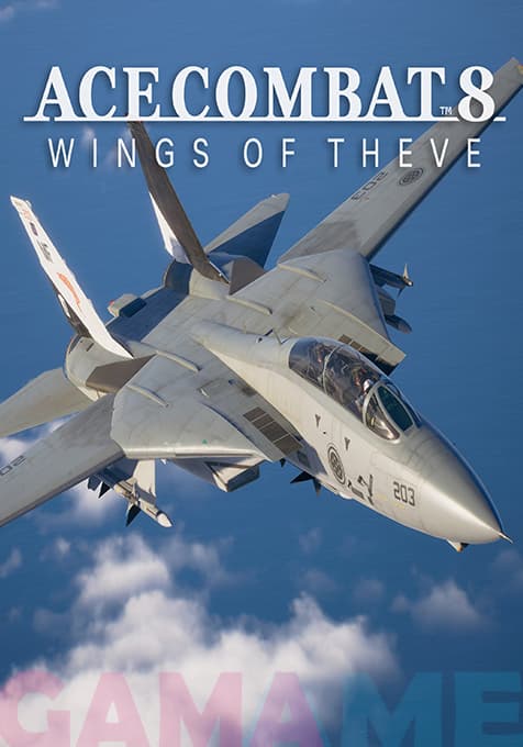 اکانت قانونی ACE COMBAT 8 WINGS OF THEVE — تصویر ۲
