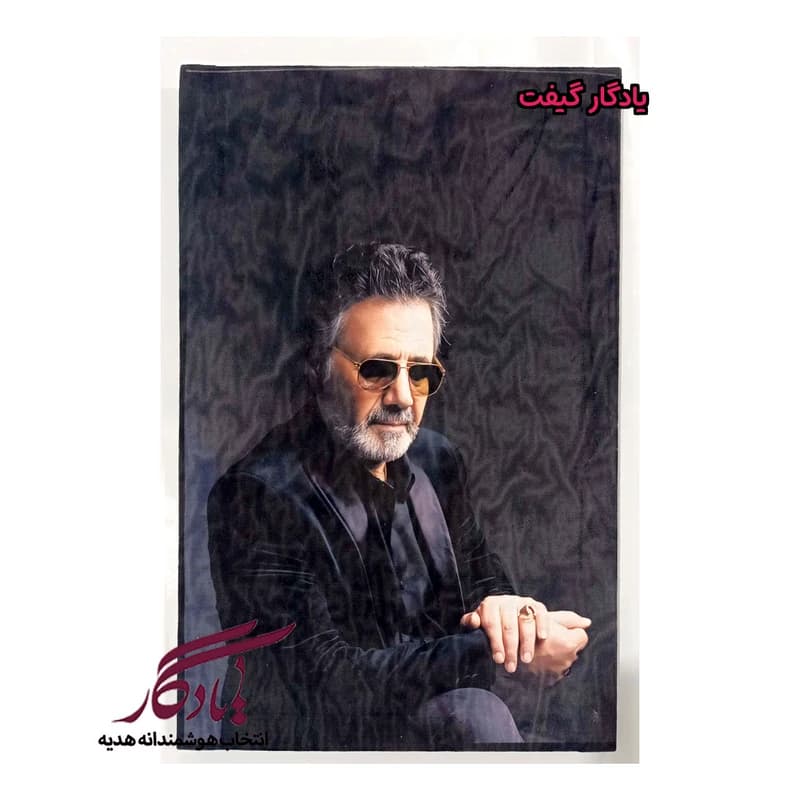 بوم مخمل طرح پرتره استاد معین کد b01