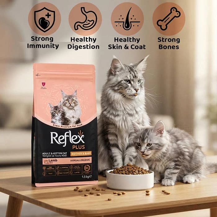 غذای خشک گربه مادر و بچه گربه رفلکس پلاس طعم بره مدل مادر اند بیبی وزن 15 کیلوگرم Reflex Mother & Baby Lamb — تصویر ۷