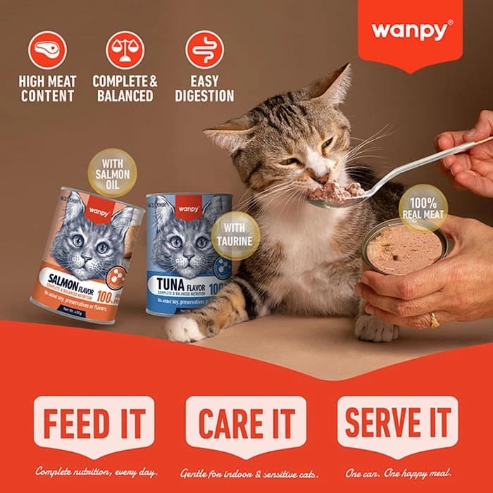 کنسرو گربه ونپی طعم ماهی سالمون مدل پته ای وزن 400 گرم Wanpy Cat Salmon — تصویر ۲