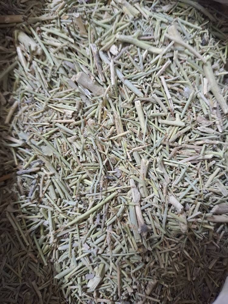 خارشتر