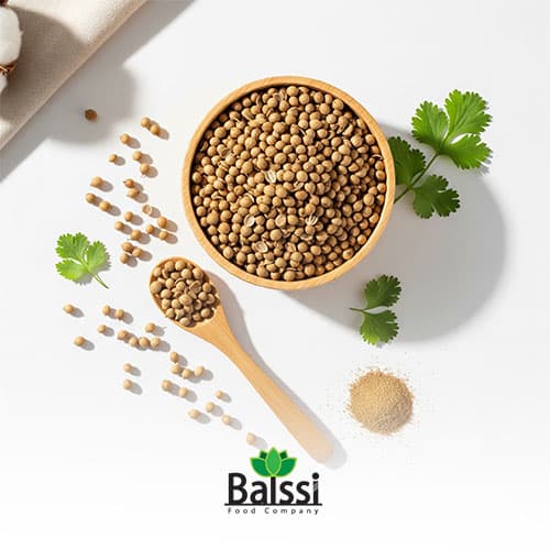عمده دان تخم گشنیز (هر کیلوگرم)
