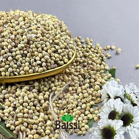 عمده دان تخم گشنیز (هر کیلوگرم) — تصویر ۲