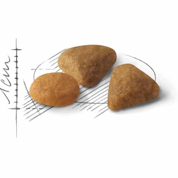 غذای خشک رویال کنین گربه مدل Savour Exigent وزن 10 کیلوگرم ( اصل فرانسه) — تصویر ۶