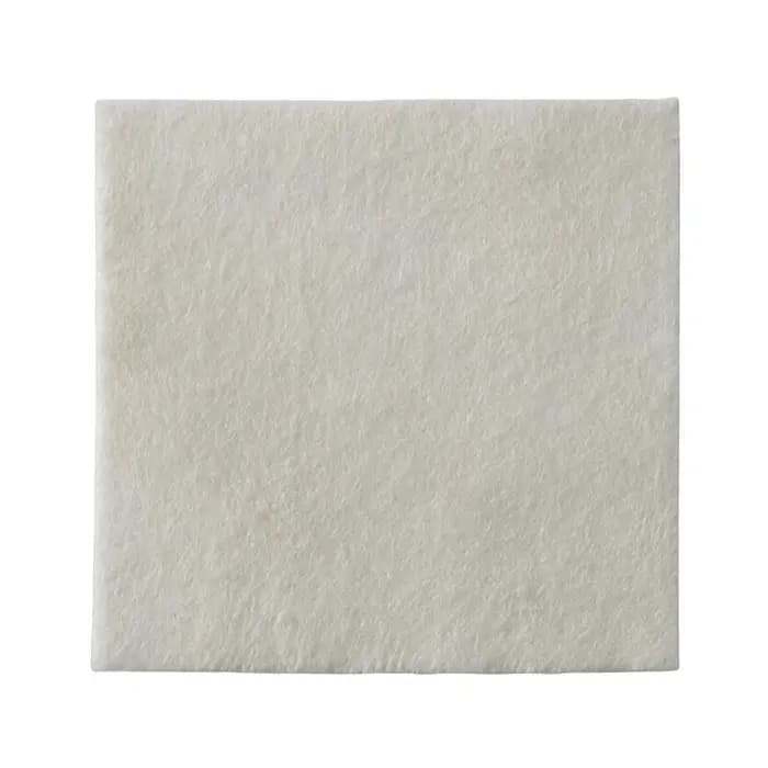 بیاتین آلژینات نقره کلوپلاست | Coloplast Biatain Alginate Ag — تصویر ۲