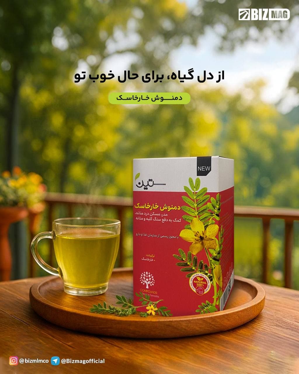 دمنوش خارخاسک ستین