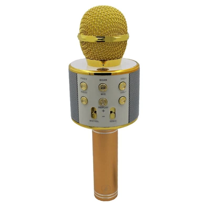 اسپیکر میکروفنی Godfrey WS-858 — تصویر ۶