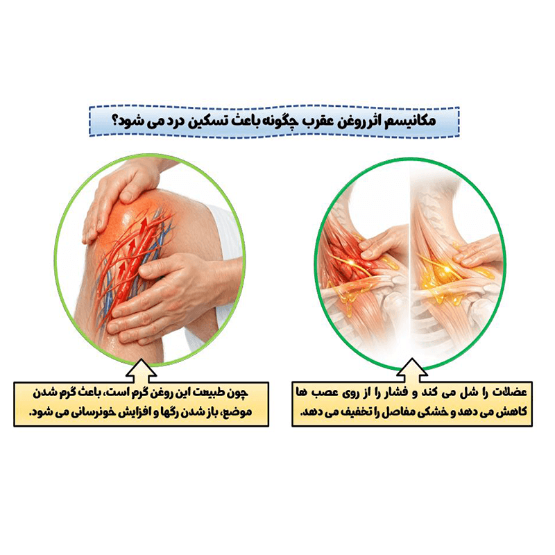 روغن عقرب: قوی‌ترین مسکن طبیعی برای دردهای مزمن مفاصل و التهاب — تصویر ۹