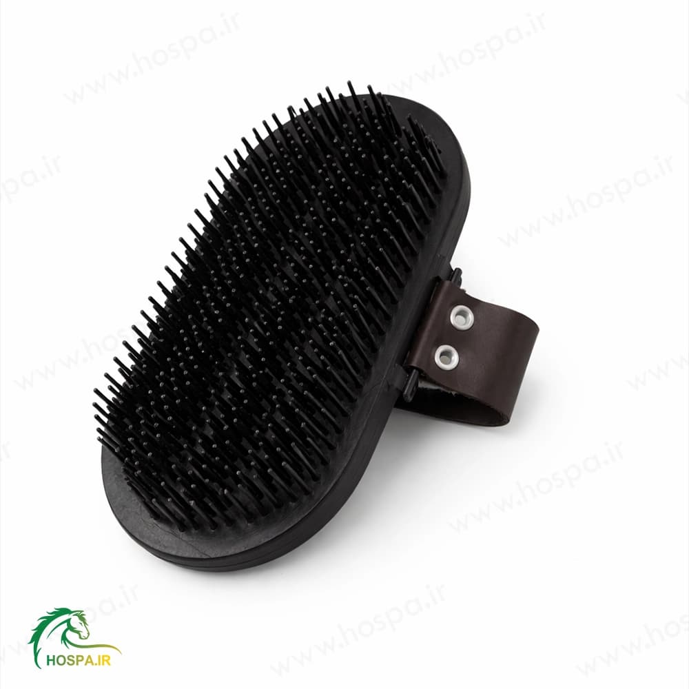 شانه یال و دم صدفی