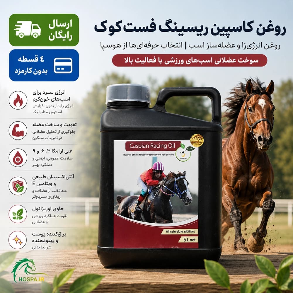 روغن کاسپین ریسینگ فست‌کوک