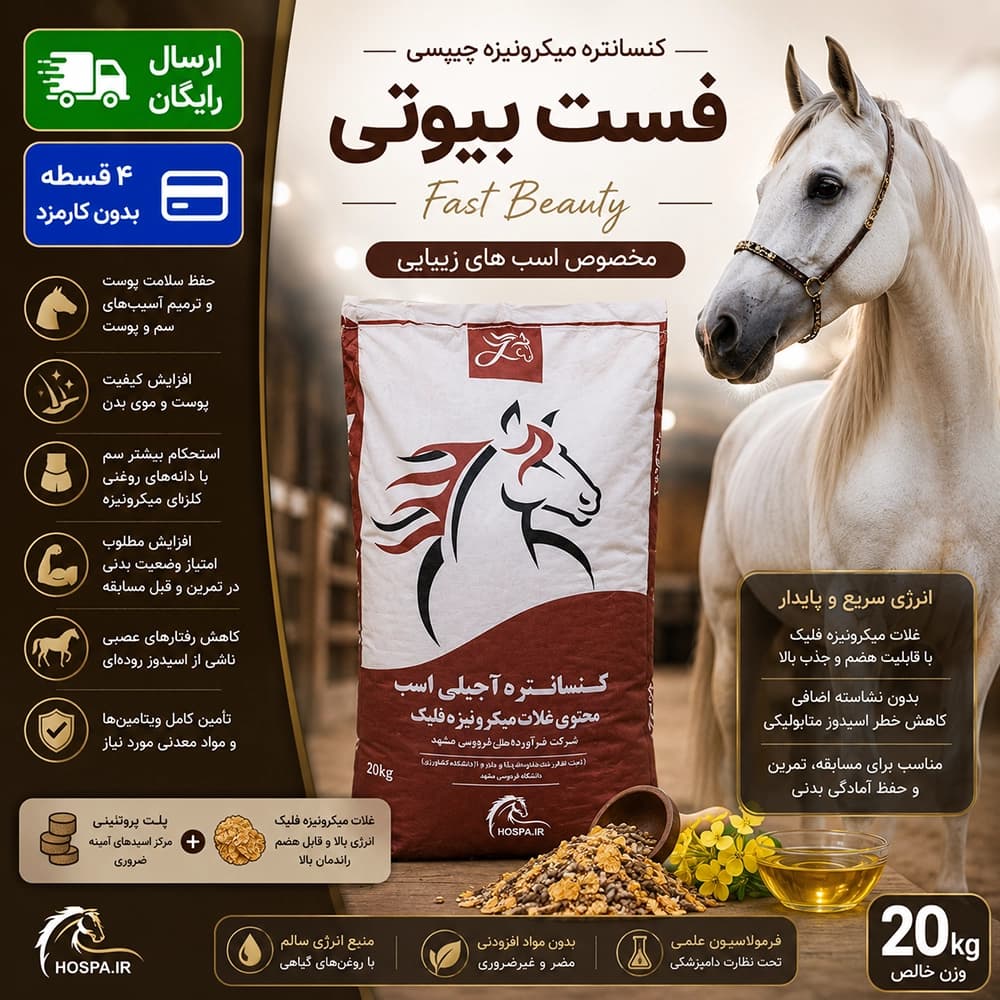 کنسانتره آجیلی زيبایی فست بیوتی – Fast Beauty