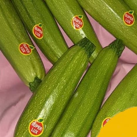 لیبل کدو سبز — تصویر ۲