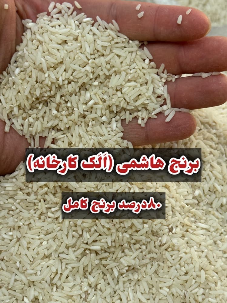 برنج هاشمی الک کارخانه گیلان(شکسته)5k — تصویر ۵