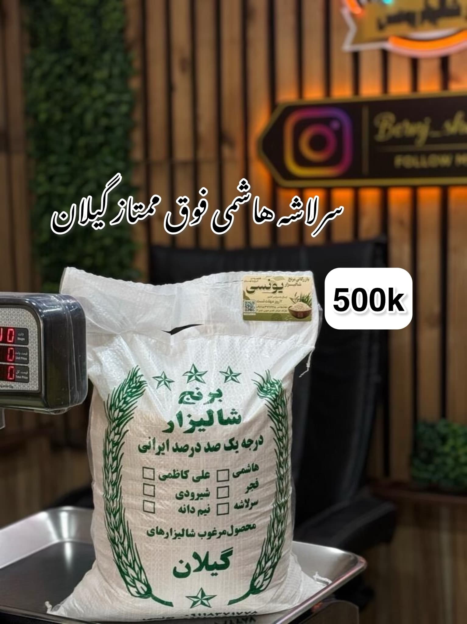 سرلاشه هاشمی فوق ممتاز گیلان 500k