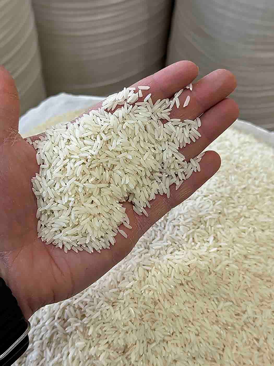 برنج هاشمی صادراتی سوپر ویژه گیلان10k — تصویر ۲