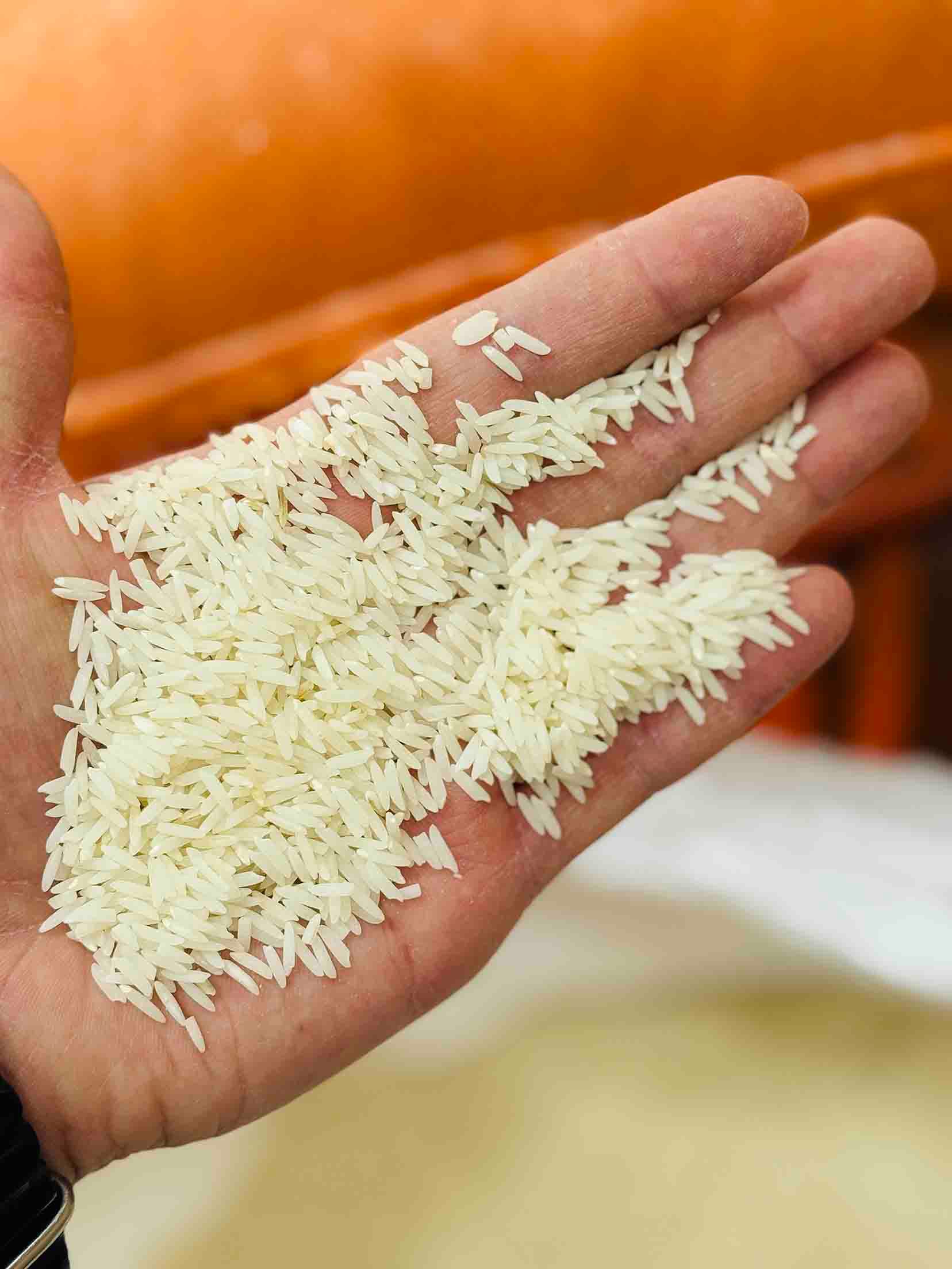 برنج دُم سیاه فوق ممتاز گیلان 5k — تصویر ۲