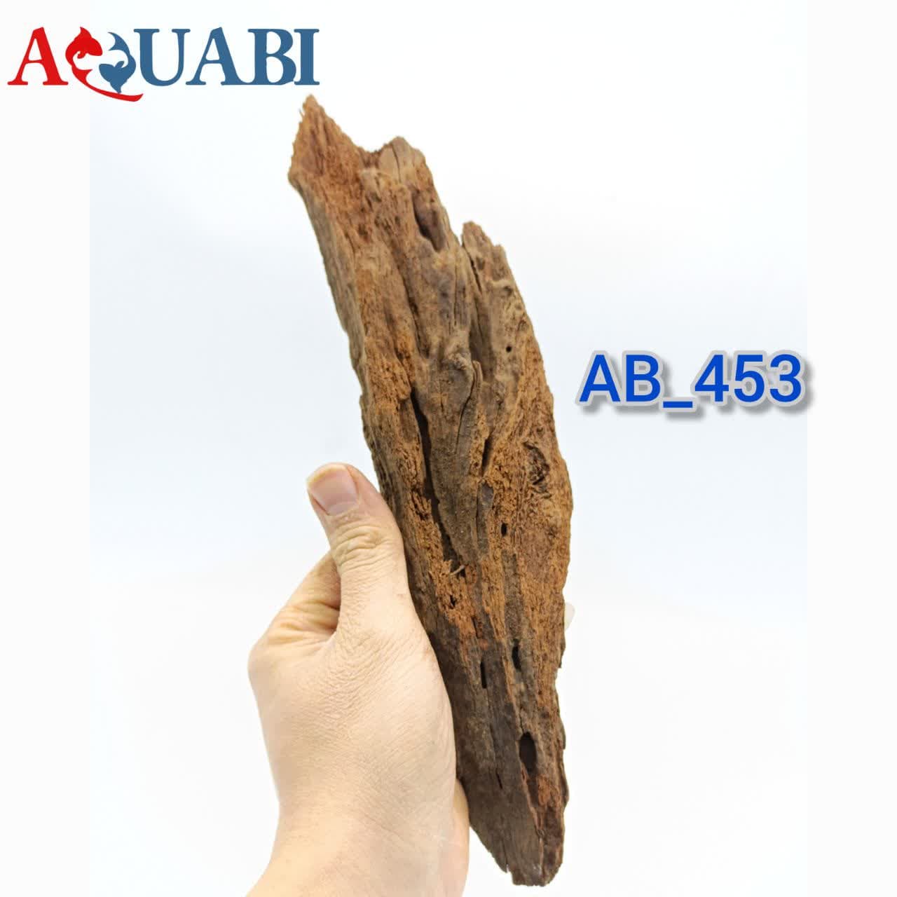 تنه چوب آبنوس آکواریوم AB-453 دریفت وود — تصویر ۲