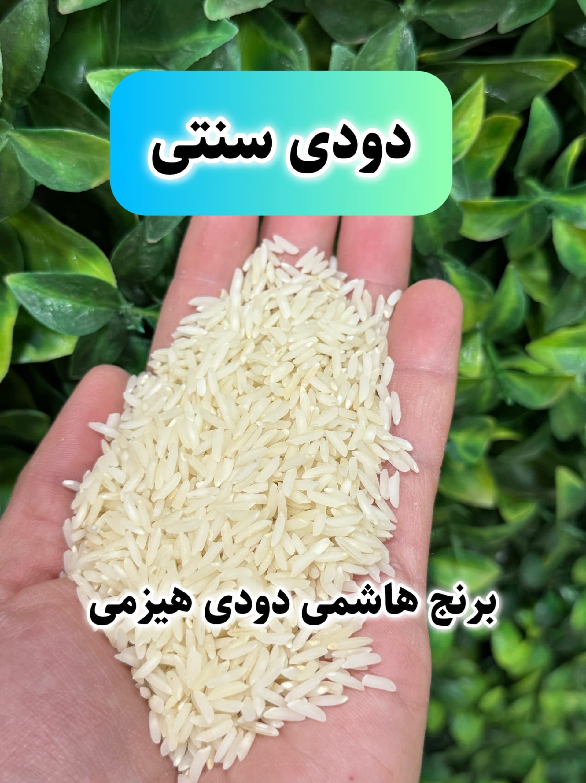 برنج هاشمی دودی هیزمی محلی گیلان 10k — تصویر ۶