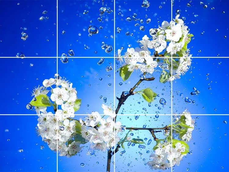 سقف مجازی طرح شکوفه و قطره آب — تصویر ۲