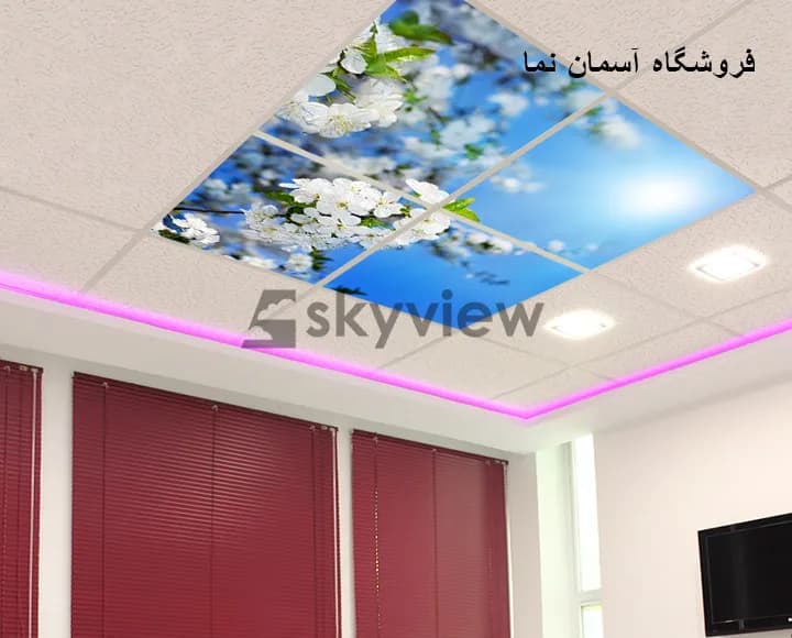 سقف آسمان مجازی شکوفه — تصویر ۲