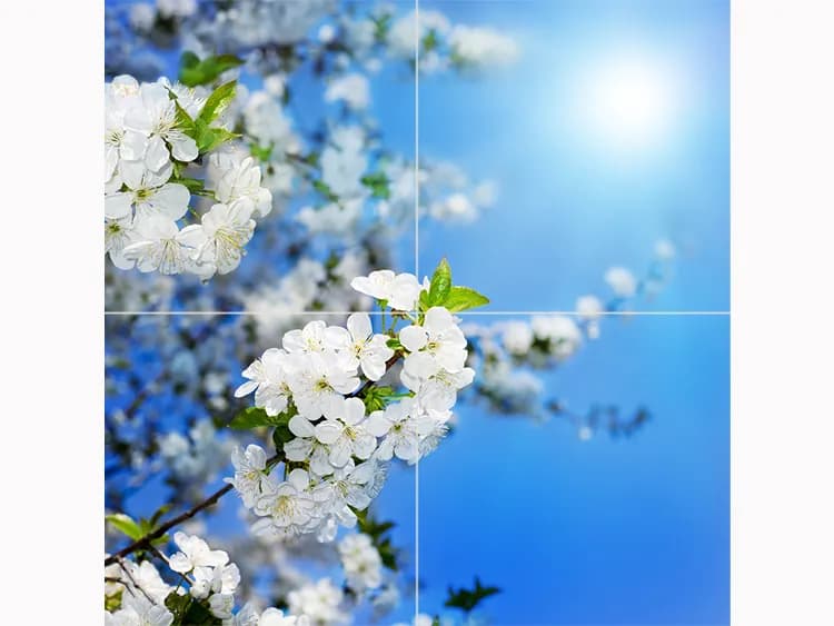 سقف آسمان مجازی شکوفه