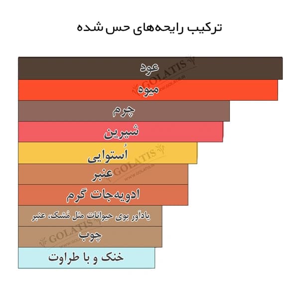 عطر عود ماراکوجا یونیسکس (Oud Maracujá) | اسانس مشابه اصل ۵ تا ۱۰۰ میل — تصویر ۵