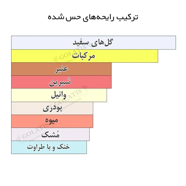 عطر پارادوکس زنانه (Paradoxe) | اسانس مشابه اصل ۵ تا ۱۰۰ میل — تصویر ۵