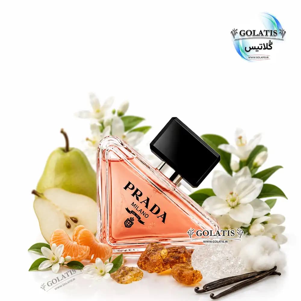 عطر پارادوکس زنانه (Paradoxe) | اسانس مشابه اصل ۵ تا ۱۰۰ میل — تصویر ۴
