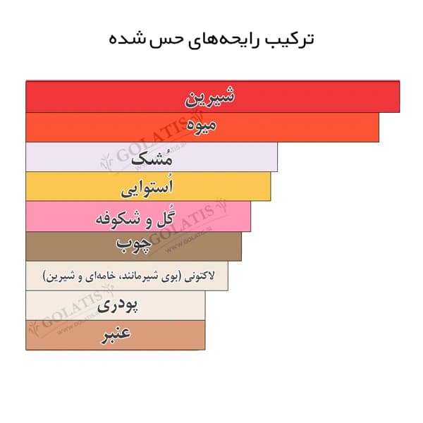 عطر کلود پینک زنانه (Cloud Pink) | اسانس مشابه اصل ۵ تا ۱۰۰ میل — تصویر ۲
