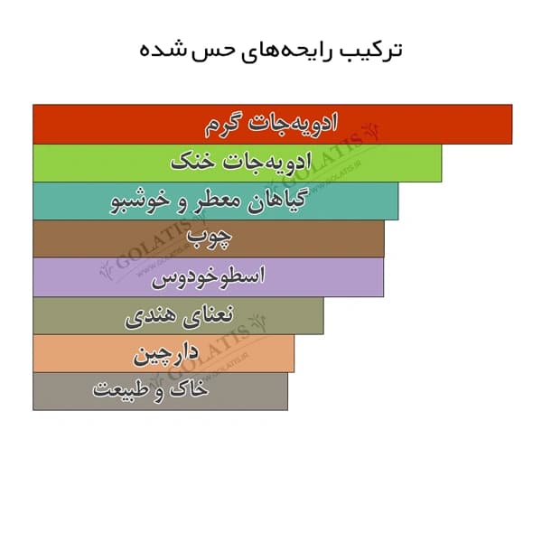 عطر فرعون مردانه (Pharaoh) مشابه اصل | حجم ۵ تا ۱۰۰ میل — تصویر ۲