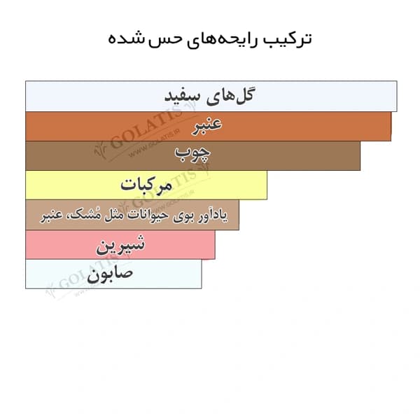 استلار تایمز | عطر یونیسکس مشابه اصل های کپی 5 تا 100 میل Stellar Times — تصویر ۵