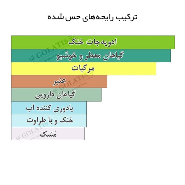 لیمنسیت | عطر مردانه ال ایمنسیت مشابه اصل های کپی 5 تا 100 میل L’Immensité — تصویر ۲