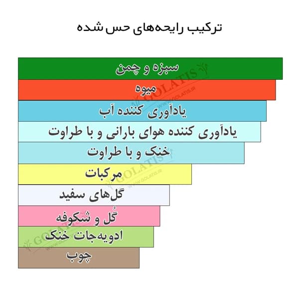 بی دلیشز سبز زنانه | خرید عطر بی دلیشس های کپی و اقتصادی 5 تا 100 میل Be Delicious for Women — تصویر ۵