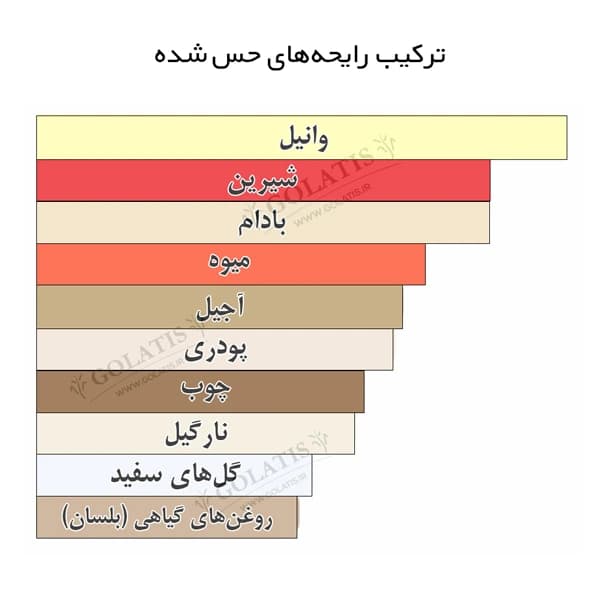 هیپنوتیک پویزن زنانه | خرید عطر های کپی و اقتصادی مشابه اصل های کپی 5 تا 100 میل Hypnotic Poison — تصویر ۲