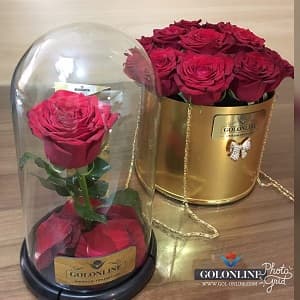 استوانه طلایی با 25 شاخه رز هلندی — تصویر ۶