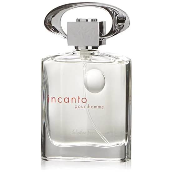 عطر مردانه اینکانتو | Incanto
